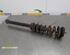 Shock Absorber FORD KA (RB_)