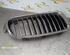 Radiator Grille BMW 6 Convertible (E64), BMW 6 (E63)