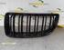 Radiator Grille BMW 3 Touring (E91)