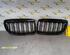 Radiator Grille BMW 3 Touring (E91)