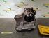 Throttle Body FIAT Grande Punto (199), FIAT Punto (199), FIAT Punto Evo (199)