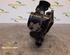 Throttle Body DAIHATSU SIRION (M3_), SUBARU JUSTY IV