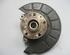 Stub Axle VW Passat (3C2)