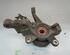 Stub Axle FORD Fiesta VI (CB1, CCN)