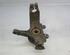 Stub Axle FORD C-Max (DM2), FORD Focus C-Max (--)