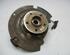 Stub Axle MERCEDES-BENZ M-Klasse (W163)