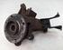 Stub Axle PEUGEOT 206 CC (2D)