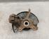 Stub Axle SKODA OCTAVIA II Combi (1Z5)