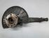 Stub Axle PORSCHE CAYENNE (9PA)