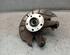 Stub Axle VW GOLF VI (5K1)