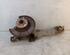 Stub Axle FORD GALAXY (WA6), FORD S-MAX (WA6)