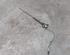 Antenne FIAT 500 (312_), FIAT 500 C (312_)