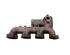 Exhaust Manifold FORD FOCUS Turnier (DNW)