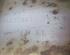 Catalytic Converter OPEL Vectra C Caravan (--)