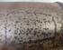 Catalytic Converter OPEL Meriva (--)