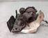 Turbocharger SMART FORTWO Coupe (450)