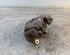 Brake Caliper OPEL ZAFIRA / ZAFIRA FAMILY B (A05)