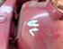 Combination Rearlight KIA PICANTO (SA)