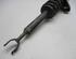 Suspension Strut AUDI A6 Avant (4F5, C6)