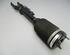 Suspension Strut MERCEDES-BENZ M-Klasse (W164)