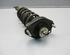 Suspension Strut TOYOTA Corolla Verso (R1, ZER, ZZE12)