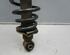 Suspension Strut LEXUS IS I (GXE1, JCE1)