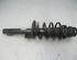 Suspension Strut SKODA Roomster (5J)