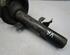 Suspension Strut FORD Focus III Turnier (--)