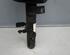 Suspension Strut FORD Focus III Turnier (--)