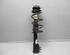 Suspension Strut FIAT Panda (169)