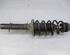 Suspension Strut VW Golf IV (1J1)