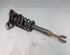 Suspension Strut VW Passat Variant (3B6)