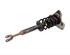 Suspension Strut VW Passat Variant (3B6)