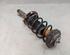 Suspension Strut SKODA Fabia II (542)