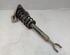 Suspension Strut AUDI A6 Avant (4F5, C6)