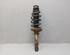 Suspension Strut VW Golf IV (1J1)