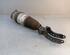 Suspension Strut PORSCHE CAYENNE (92A)