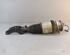 Suspension Strut PORSCHE CAYENNE (92A)