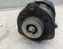 Suspension Strut SKODA OCTAVIA II Combi (1Z5)