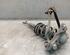 Suspension Strut AUDI A4 Avant (8D5, B5)