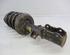 Suspension Strut SAAB 9-5 Estate (YS3E)