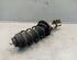 Suspension Strut FIAT GRANDE PUNTO (199_)