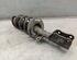 Suspension Strut MAZDA 3 (BM, BN)