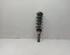 Suspension Strut SKODA FABIA I Combi (6Y5)