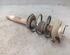 Suspension Strut BMW 5 Touring (E39)