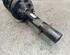 Suspension Strut VW NEW BEETLE (9C1, 1C1)