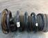 Suspension Strut OPEL ZAFIRA / ZAFIRA FAMILY B (A05)