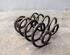 Spring Set RENAULT CLIO III (BR0/1, CR0/1), RENAULT CLIO IV (BH_)