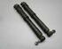 Shock Absorber RENAULT Megane III Grandtour (KZ0/1)