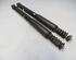 Shock Absorber RENAULT Clio III (BR0/1, CR0/1)